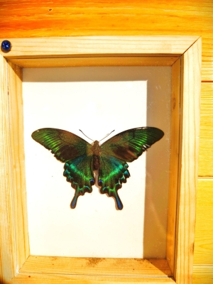 赤峰景點(diǎn)推廣電話是多少號(hào)-第1張圖片