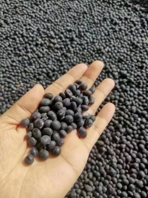 赤峰黑腐竹加工廠電話號(hào)碼-第1張圖片