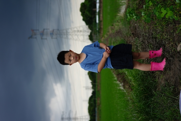 赤峰去哪挖蚯蚓啊電話多少-第1張圖片