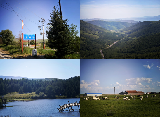 赤峰林西縣政府所在地-第1張圖片