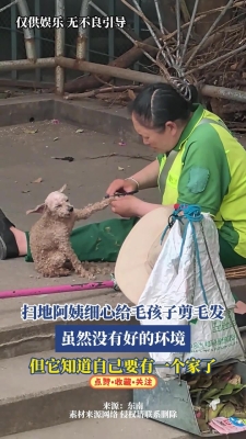 赤峰剪毛培訓(xùn)機(jī)構(gòu)電話號(hào)碼查詢-第1張圖片