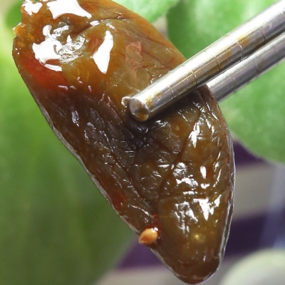 赤峰廢舊醬油廠地址電話號碼-第1張圖片