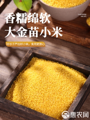 赤峰內蒙小米售后電話號碼查詢-第1張圖片