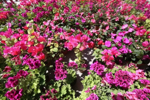 赤峰卡爾希樂園電話多少號(hào)-第1張圖片