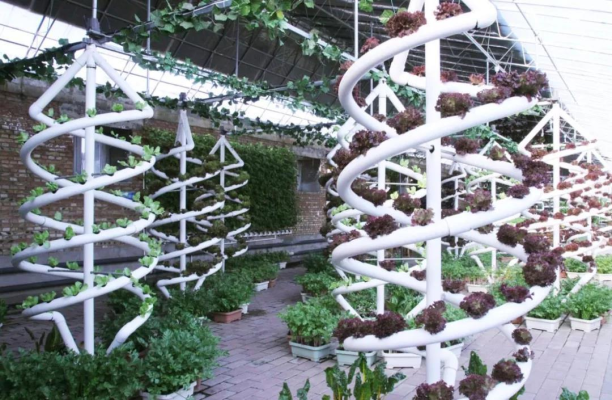 赤峰富力嘉年華物業(yè)電話號碼-第1張圖片