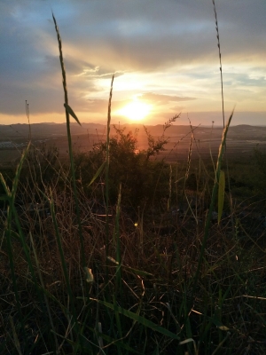 赤峰市元寶山賣房電話號(hào)碼-第1張圖片