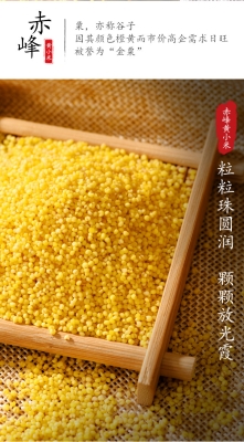 小米赤峰售后地址查詢電話號碼-第1張圖片