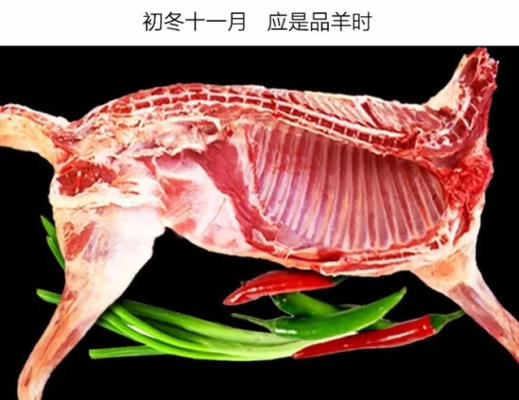 赤峰進(jìn)口白條羊肉批發(fā)電話號(hào)碼-第1張圖片