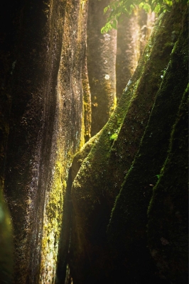 赤峰清霞清慧社區(qū)電話號碼-第1張圖片