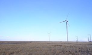 赤峰蜂土工格柵廠家電話號碼-第1張圖片