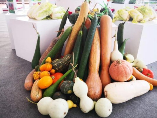 赤峰碩果雙胞胎媽媽電話號碼-第1張圖片