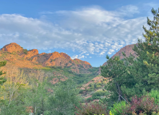 赤峰林秀君診所電話地址查詢-第1張圖片