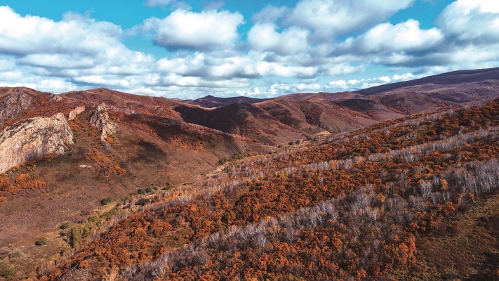 赤峰馳航汽修電話號(hào)碼查詢-第1張圖片