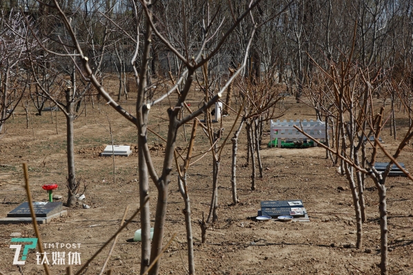 赤峰寵物墓地電話號(hào)碼多少-第1張圖片