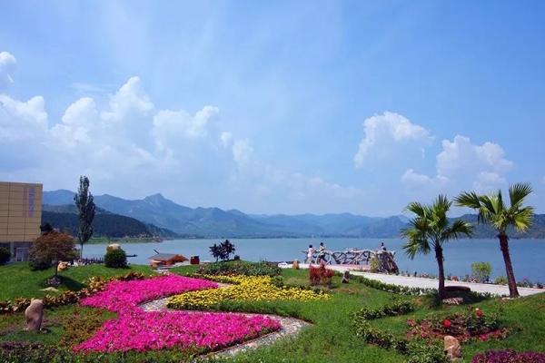 赤峰藍(lán)世界水族箱電話號碼-第1張圖片