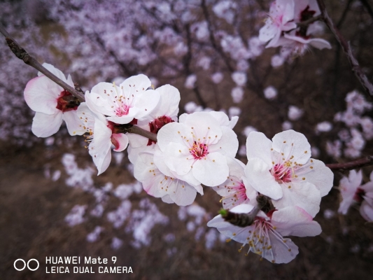 赤峰文普圖書城電話號碼-第1張圖片