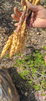 赤峰喀喇沁繪本館電話號碼-第1張圖片