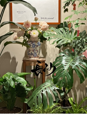 赤峰三顏鮮豬肉館電話號(hào)碼-第1張圖片