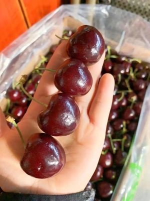 赤峰同城肉菜配送電話號碼-第1張圖片