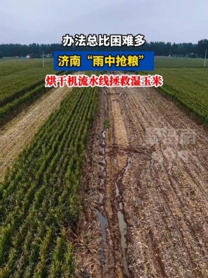 赤峰市玉米烘干商店電話號(hào)碼-第1張圖片