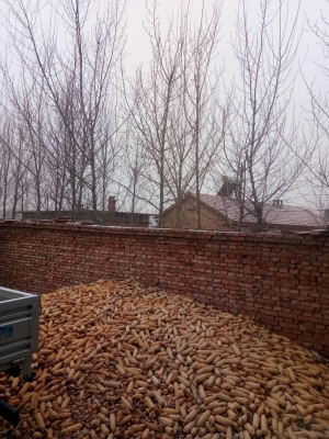 赤峰市老張救助中心電話號(hào)碼-第1張圖片