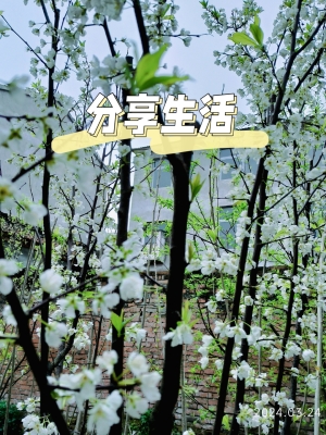 赤峰果園菜園電話號碼多少號-第1張圖片