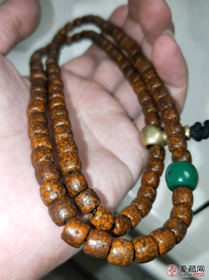 附近哪里有回收菩提-第1張圖片