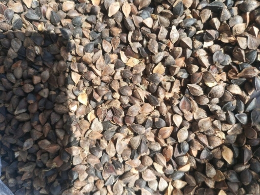 赤峰網(wǎng)帶經(jīng)銷批發(fā)電話號碼-第1張圖片