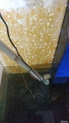 赤峰清洗毛巾廠家電話號碼-第1張圖片