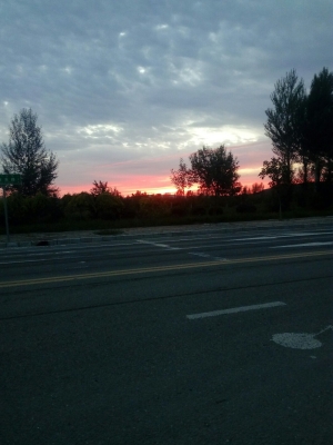 內(nèi)蒙赤峰手機號-第1張圖片