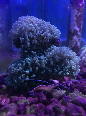 赤峰鑫源水族館電話號(hào)碼-第1張圖片