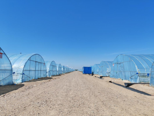 赤峰大棚種植戶電話多少號-第1張圖片