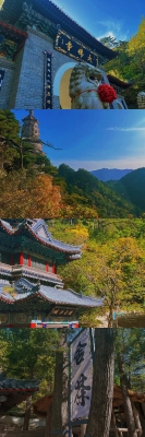 赤峰千企貸電話號碼查詢-第1張圖片