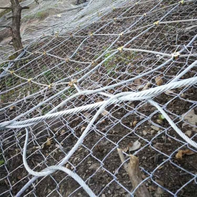 赤峰寵物籠子出租電話多少號(hào)-第1張圖片