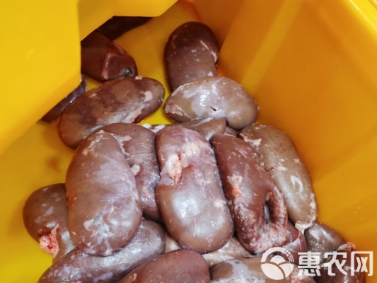 赤峰豬腰批發(fā)電話多少號(hào)-第1張圖片