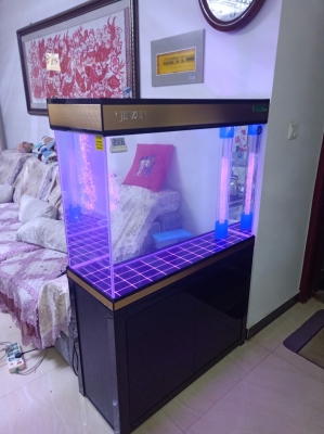 赤峰魚馬桶改裝電話多少啊-第1張圖片