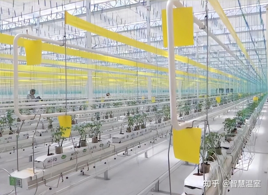 赤峰定制營(yíng)養(yǎng)土廠家電話號(hào)碼-第1張圖片