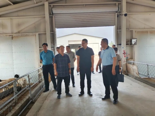 赤峰街道獸醫(yī)站站長電話號碼-第1張圖片