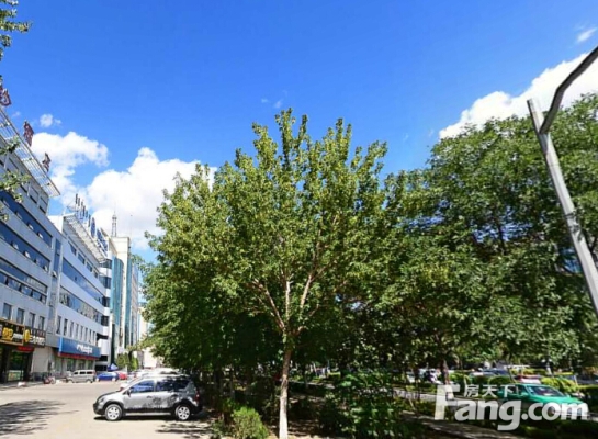 赤峰長青小區(qū)飯店電話多少號-第1張圖片