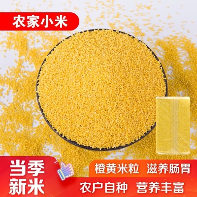 赤峰小米貨倉(cāng)電話號(hào)碼多少號(hào)-第1張圖片