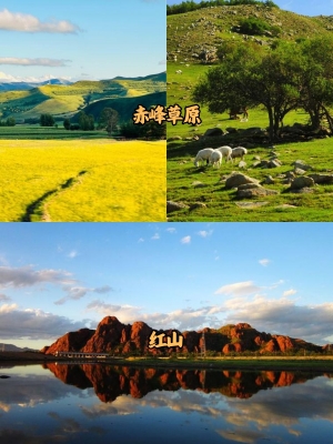 赤峰市旅游接待中心電話號碼-第1張圖片