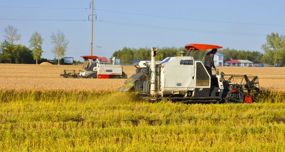 赤峰利盈農(nóng)機(jī)銷售電話地址查詢-第1張圖片