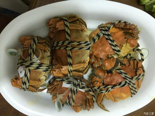 赤峰永業(yè)附近的駕校電話號碼-第1張圖片