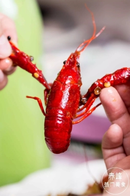 赤峰市烤羊店電話地址查詢-第1張圖片