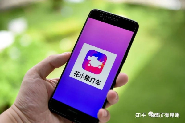 赤峰跑花小豬公司電話號碼-第1張圖片