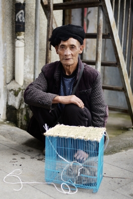 赤峰集市賣貓電話號多少啊-第1張圖片