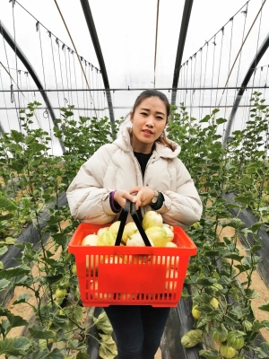 赤峰婚禮大棚租賃電話號(hào)碼查詢-第1張圖片