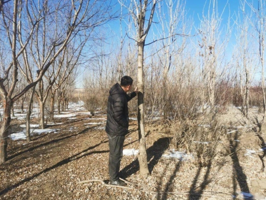 赤峰新城林業(yè)局地址電話號(hào)碼-第1張圖片