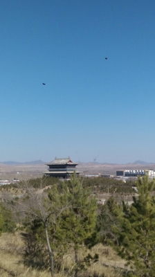 赤峰左旗快手公司電話號(hào)碼是多少-第1張圖片