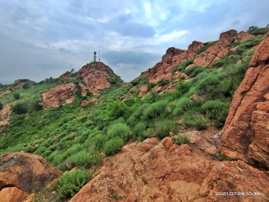 赤峰紅山區(qū)字庫書城電話號碼-第1張圖片